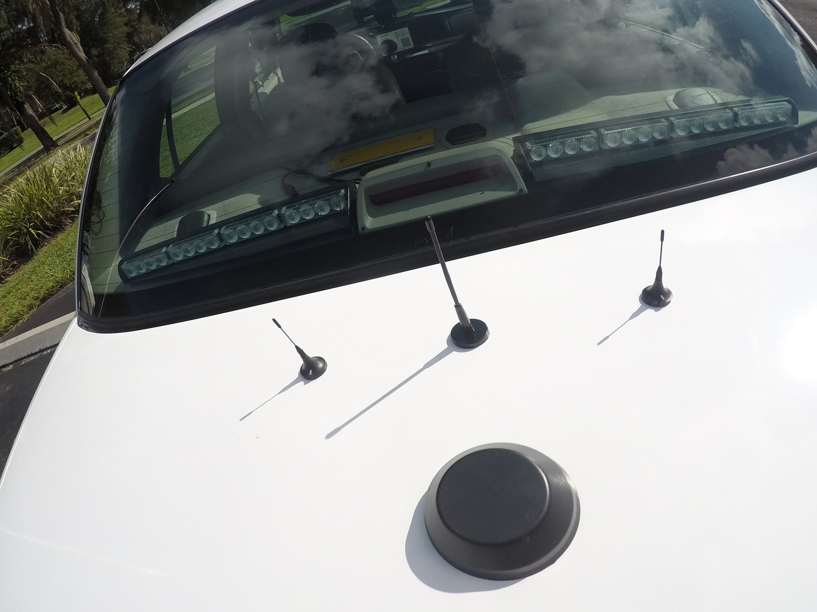 POLICE ANTENNA P71 CROWN VICTORIA / IMPALA 4 1/2" X 1 3/4" eBay