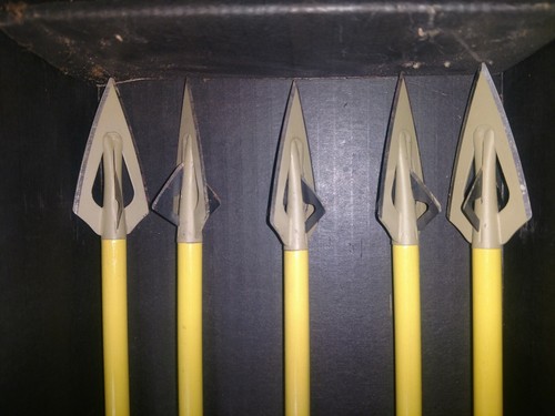 vintage Fred Bear wooden arrows and bear arrow box broad heads hunting tip cedar