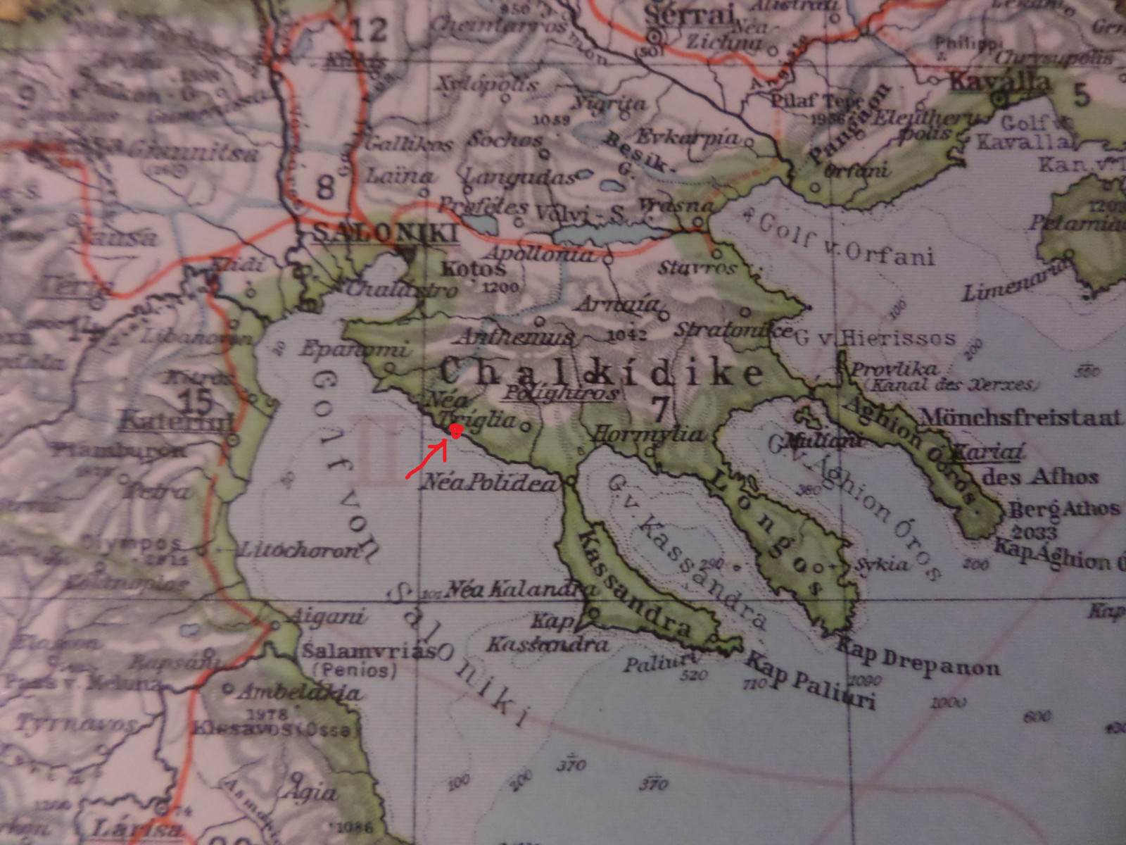 goldfish goldfish varieties and genetics