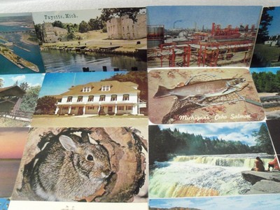 MICHIGAN! MI MICH 50+ POSTCARD LOT PICTURESQUE VIEWS OF ROADSIDE AMERICANA! #155