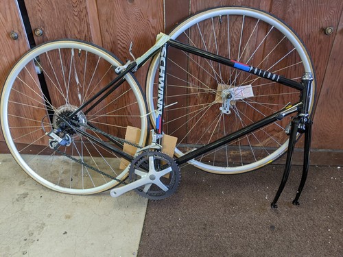 1989 Schwinn Prelude NIB | eBay