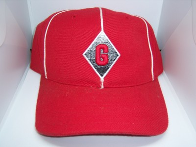 homestead grays fitted hat