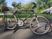 univega alpina ultima