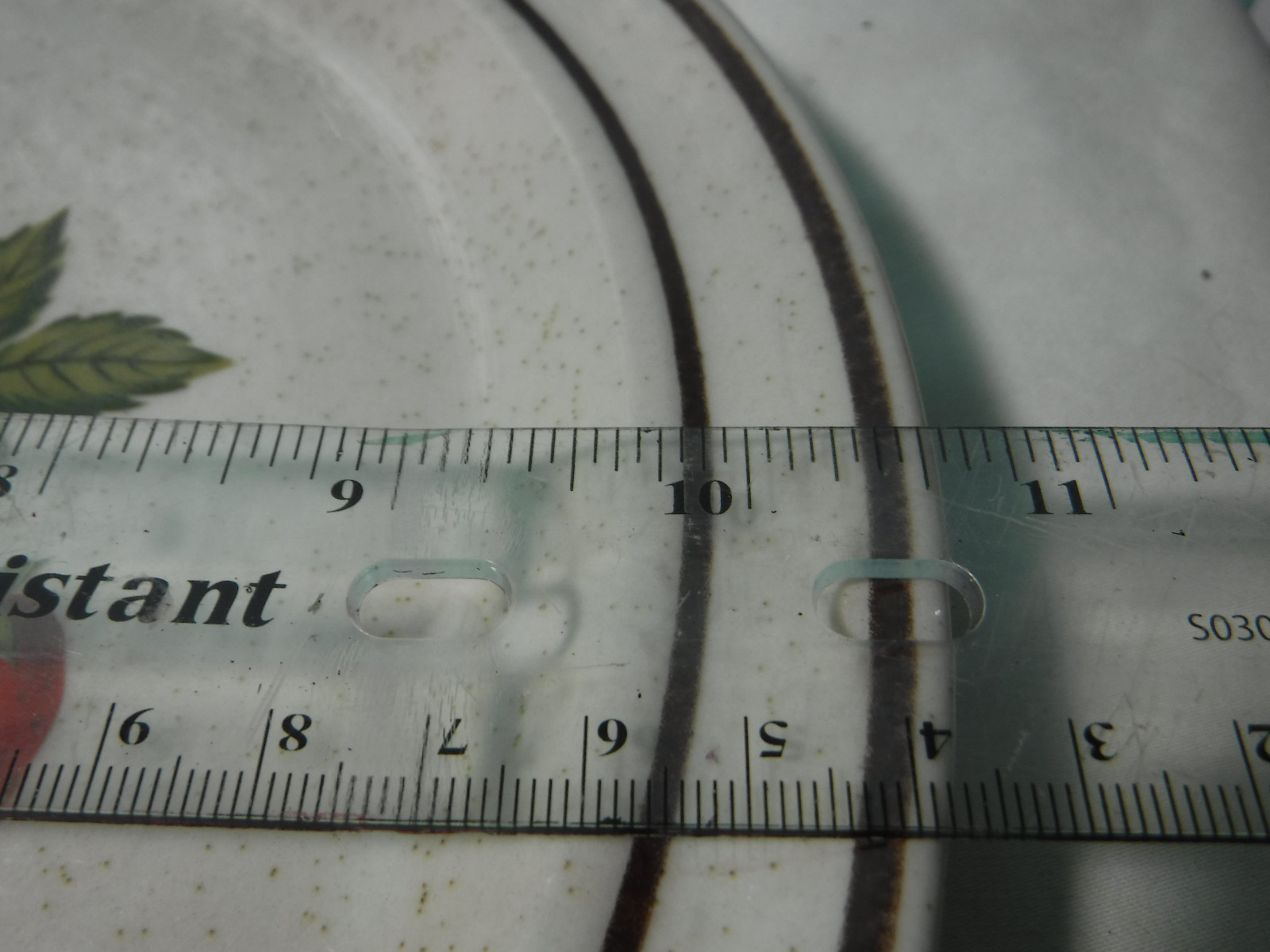 Newcor SUSANNE Dinner Plate 601 Reqency 10 1/2