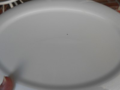 USA Pottery Oval SERVING PLATTER  White with Yellow Flowers