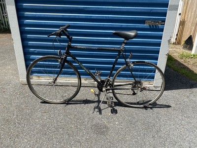 schwinn 20 inch tilt bike