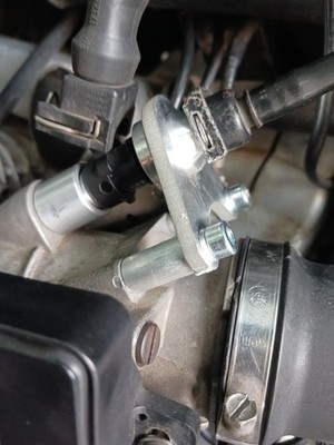 Artikelfoto(s) von einem verifizierten Käufer