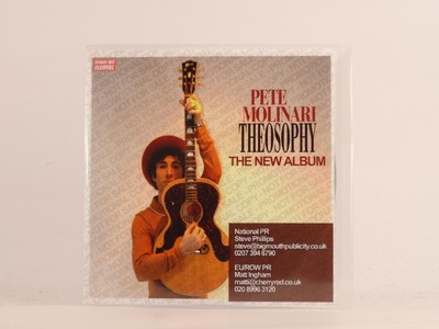 PETE MOLINARI THEOSOPHY (498) 13 Track CD Album Picture Sleeve CHERRY RED RECORD