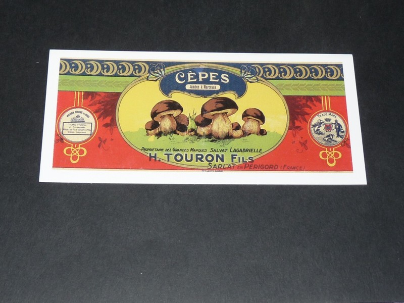 Petite Cpa Carte Postale Publicite Champignons Cepes Sarlat Perigord Touron Fils