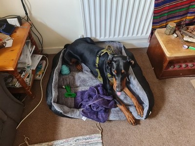 Artikelfoto(s) von einem verifizierten Käufer