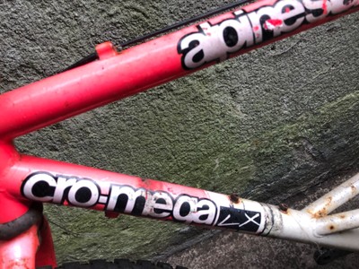 Alpine Stars Cro mega vintage frame and forks