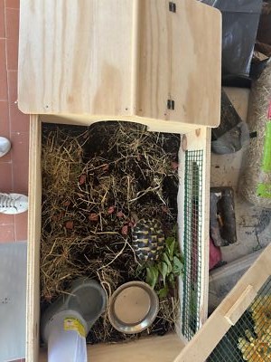 Fotos del artículo de un comprador verificado