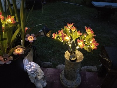 Photos de l'objet d'un acheteur vérifié