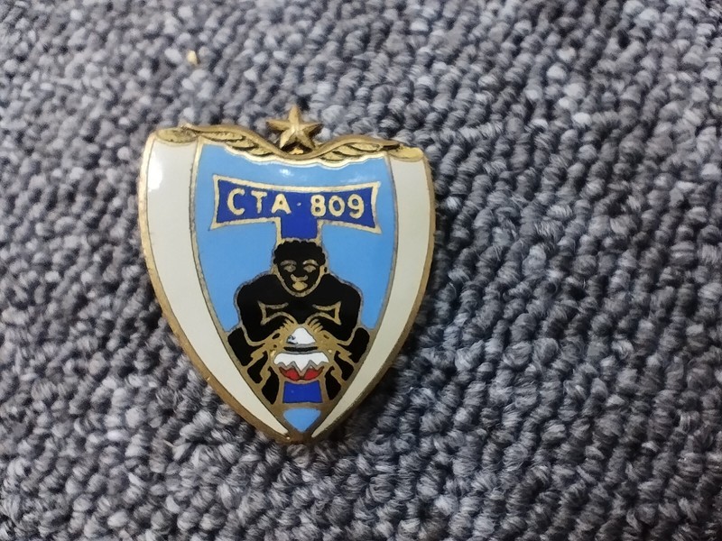 Rare Insigne Cta 809 Drago ArmÃE De L'Air Occasion