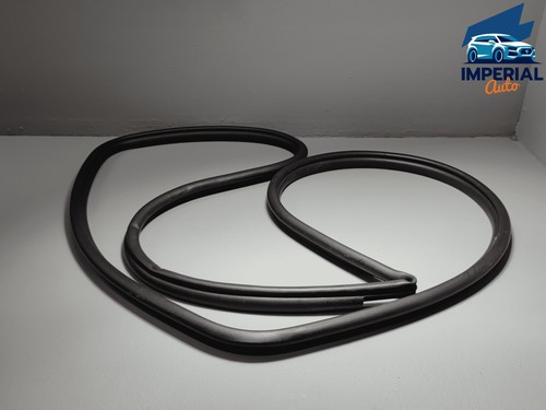 2019-2025 Toyota RAV4 Rear Left Driver Side Door Body Weatherstrip Seal LH OEM