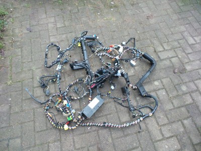 Wiring Loom Harness Fuse Box | Cheap Replacement Wiring Loom Harness