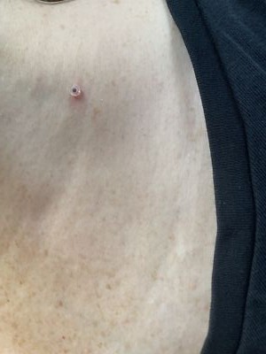 Foto dell'oggetto di un acquirente verificato