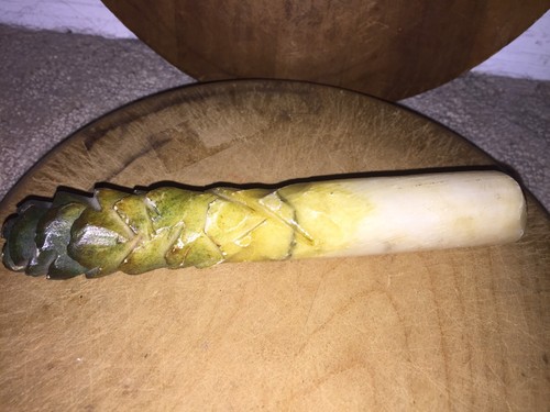 Early Antique Italian Alabaster Stone Vegetable First Series Stone Asparagus
