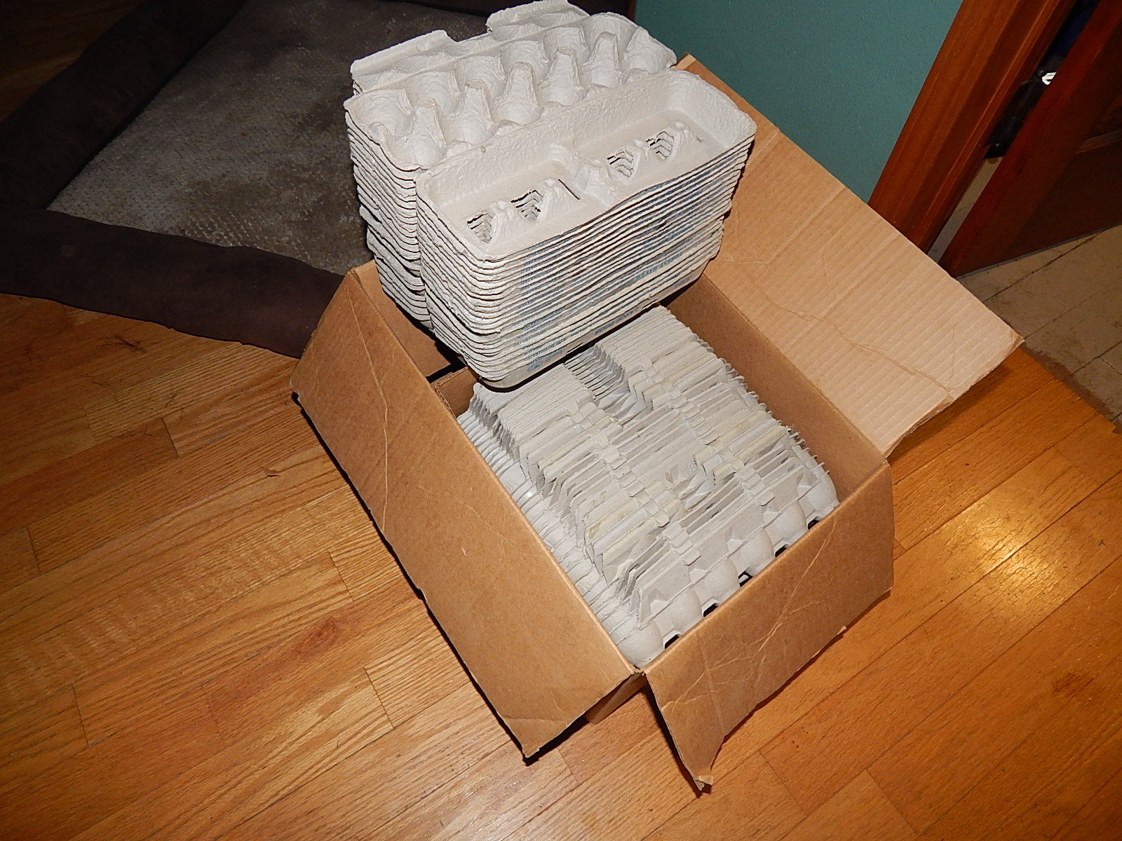 50 Farm Fresh Egg Cartons 1 Dozen Egg Paper Pulp Cartons from Fordville, ND