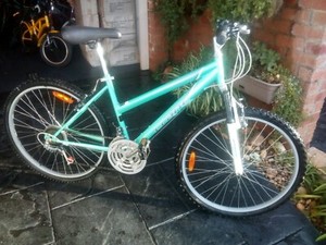 crane 26 inch mountain bike