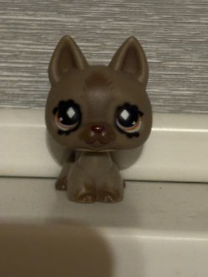 Photos de l'objet d'un acheteur vérifié