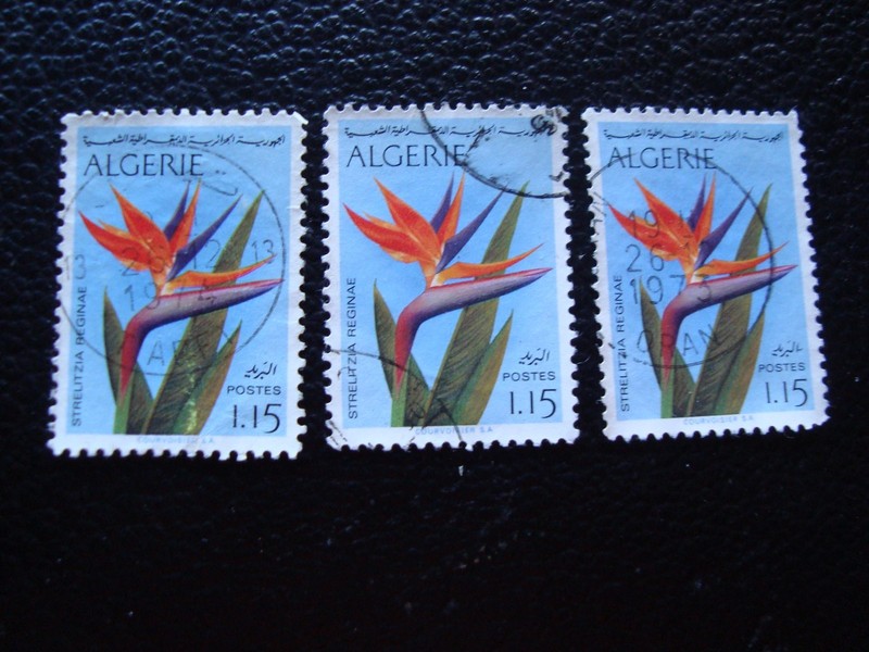 Algerie - Timbre Yvert Et Tellier NÂ° 571 X3 Obl (A30) Stamp Algeria (R)