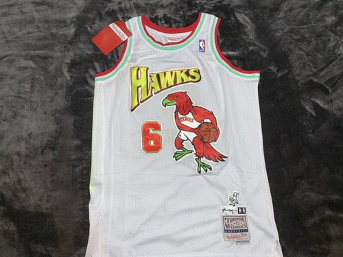 HAWKS 29番 ユニフォーム Mitchell & Ness mitchell ness authentic vintage vtg atlanta hawks jersey