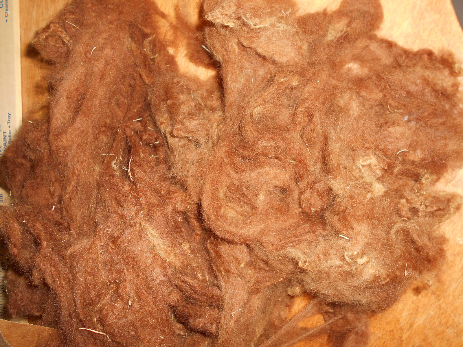 Cinnamon alpaca prime fiber, super soft, nice crimp, washed 8 oz