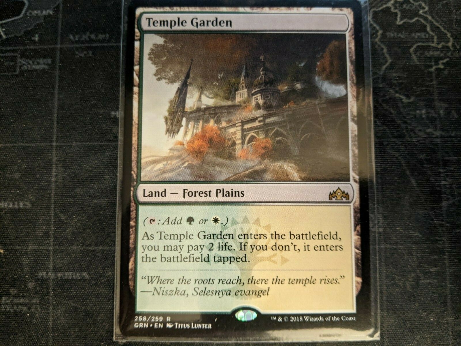 Temple Garden 1x FOIL GRN MTG Guilds of Ravnica Rare MINT land green white Temple Garden 1x FOIL GRN MTG Guilds of Ravnica Rare MINT land green white