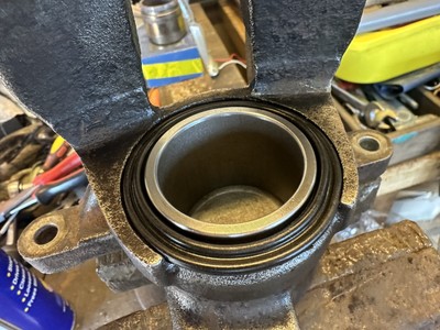 Fotos del artículo de un comprador verificado