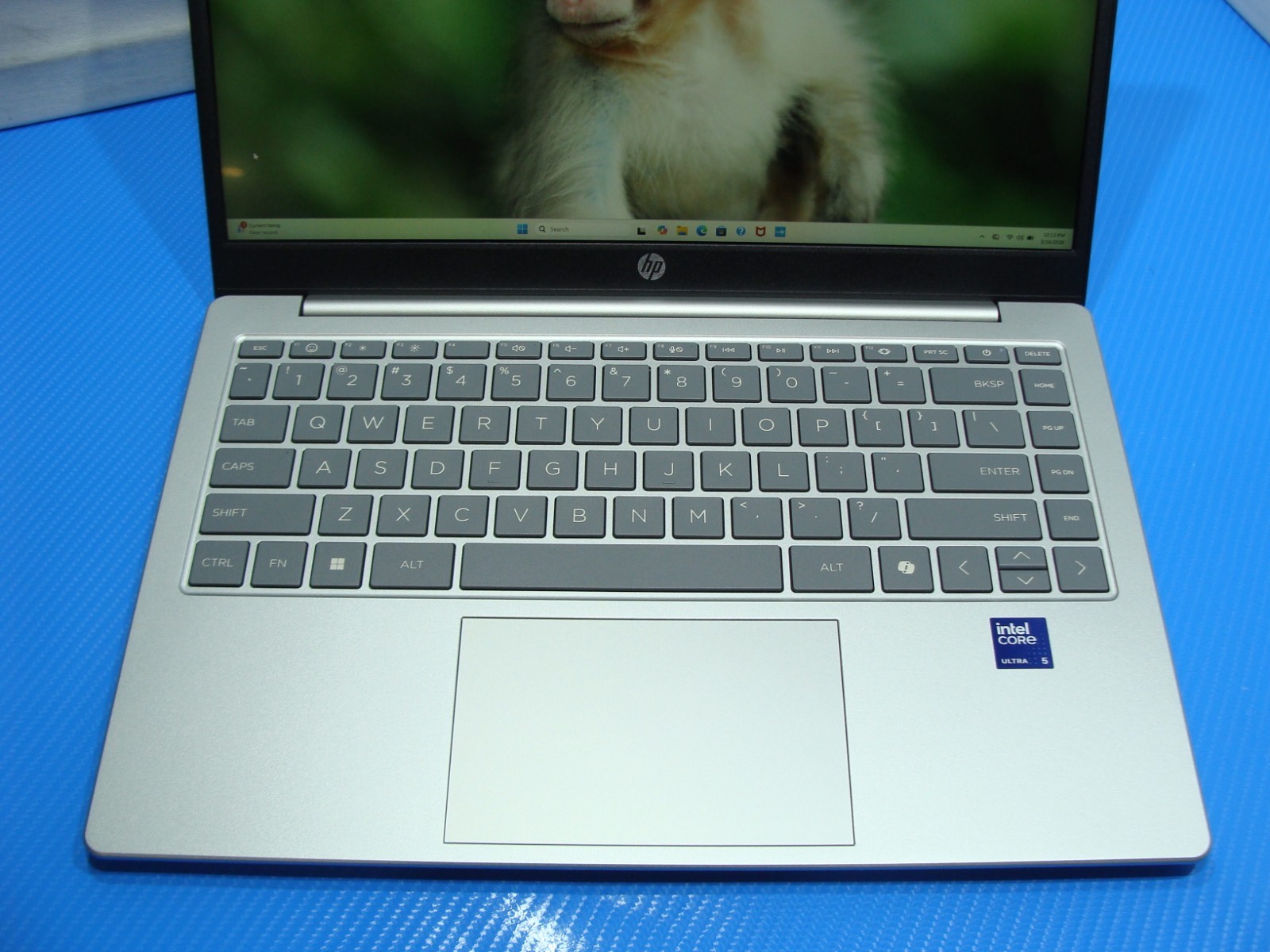HP 14-hc0037nr 14" FHD Ultra 5 225U 8GB RAM 256GB SSD Win 11 Home - Thumbnail 4