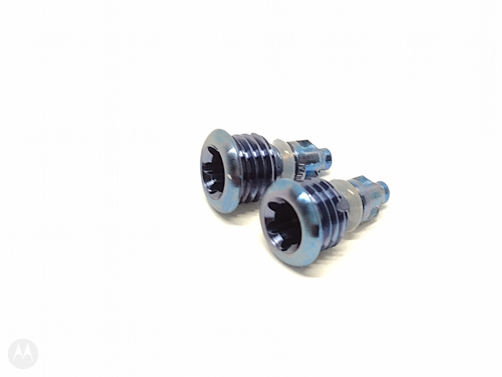 ピクティニ　BWR RAW Silver Titanium Coarse Thread Compression Nuts Magura