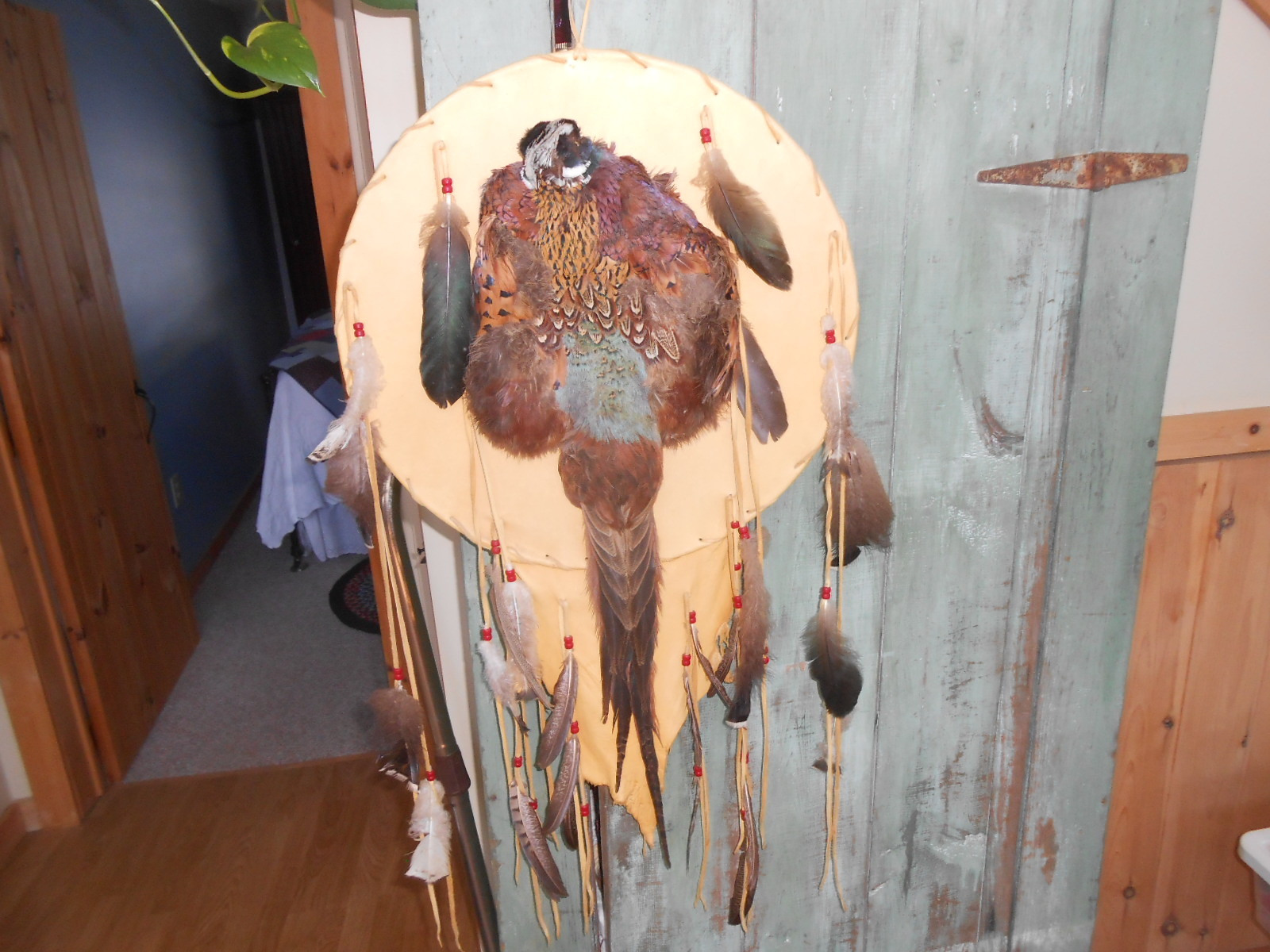 PHEASANT SKIN MOUNT TAXIDERMIST LEATHER FEATHERS TANNED DEER HIDE DREAM CATCHER?