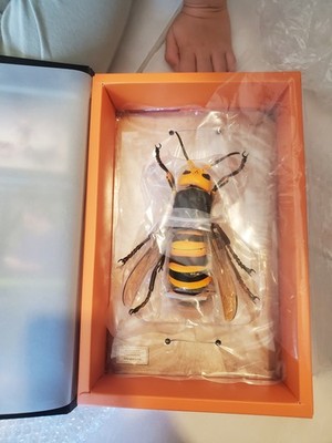 Photos de l'objet d'un acheteur vérifié