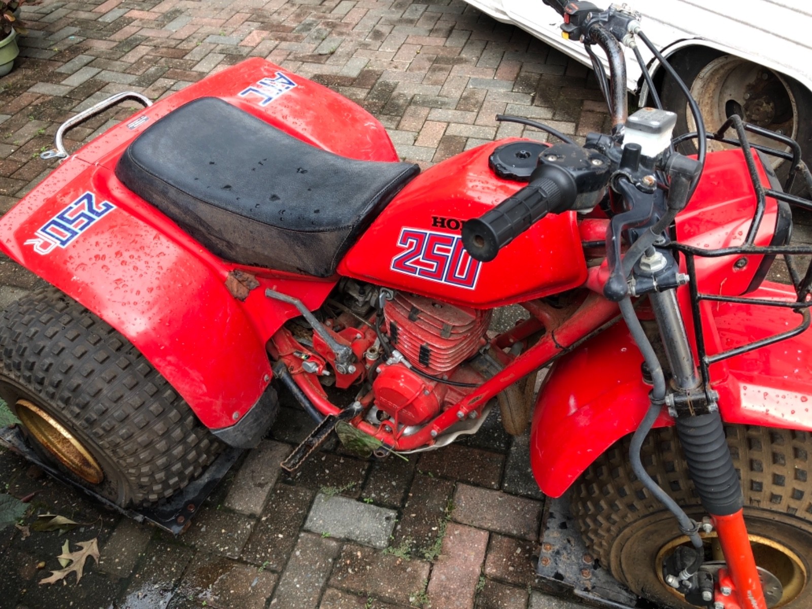 Honda 250 3 Wheeler