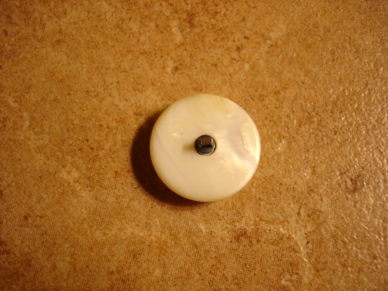 Mother of pearl button with Dalmatians dog