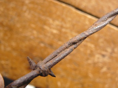 CURTIS HALF ROUND 2-PT on ROUND & FLAT - BARB on ROUND  - ANTIQUE BARBED WIRE