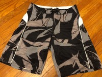 alpinestar swim trunks