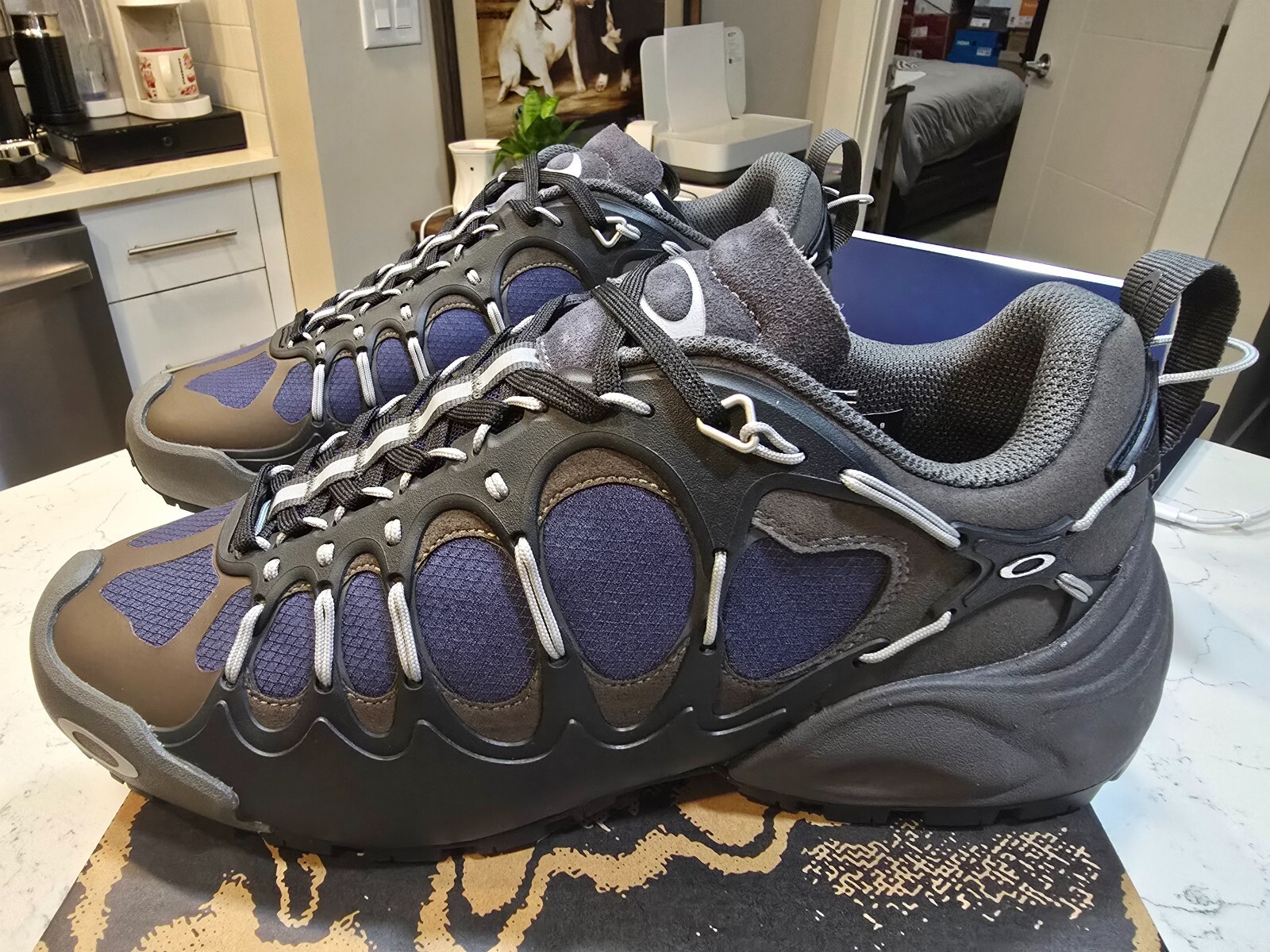 国内発送 Oakley Factory Team Brain Dead IBEX Eclipse 黒系 $_57.JPG?set_id=880000500F
