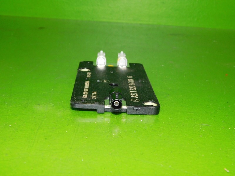 Picture 3