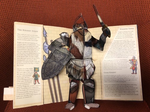 Case of 20 Sabuda & Reinhart Presents Castle by Kyle Olmon - Pop Up Book NEW