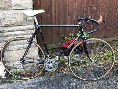 raleigh competition road bike