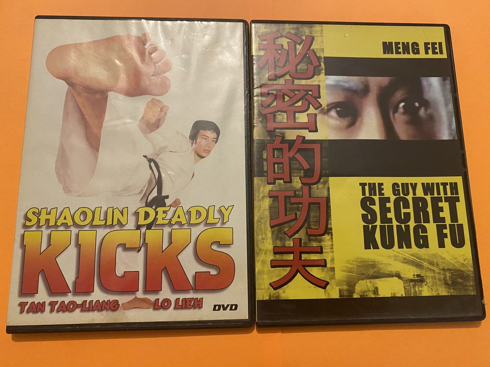 Two DVD Bundle (Shaolin Deadly Kicks / The Guy with Secret