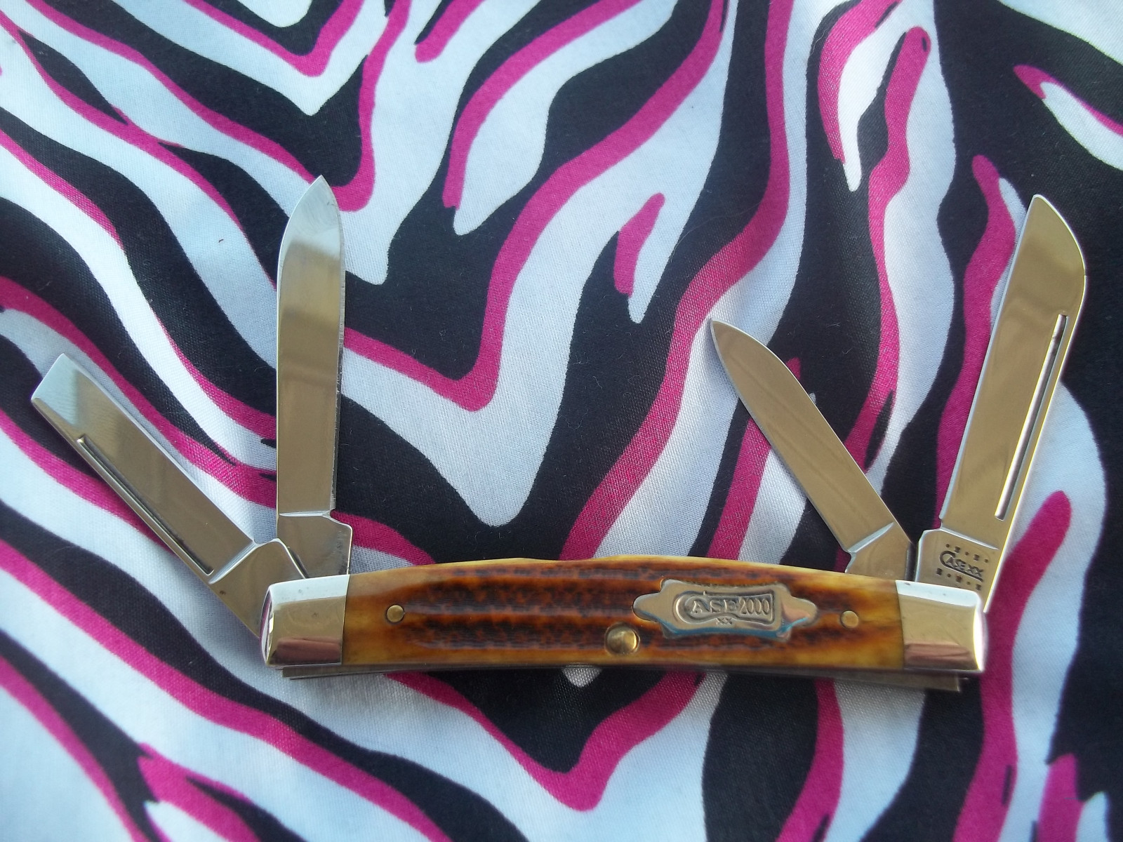 BONE HANDLE CASE XX CONGRASS POCKET KNIFE