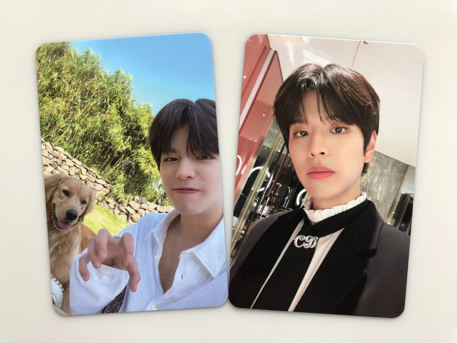 Stray Kids - straykids 済州 STAY in stay JYP特典トレカ　スンミン Stray Kids】Seungmin Stay in Stay in JEJU JYP Shop Official