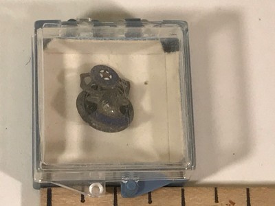 Vtg Small Enamel Elk's Club B.P.O.E. Pin