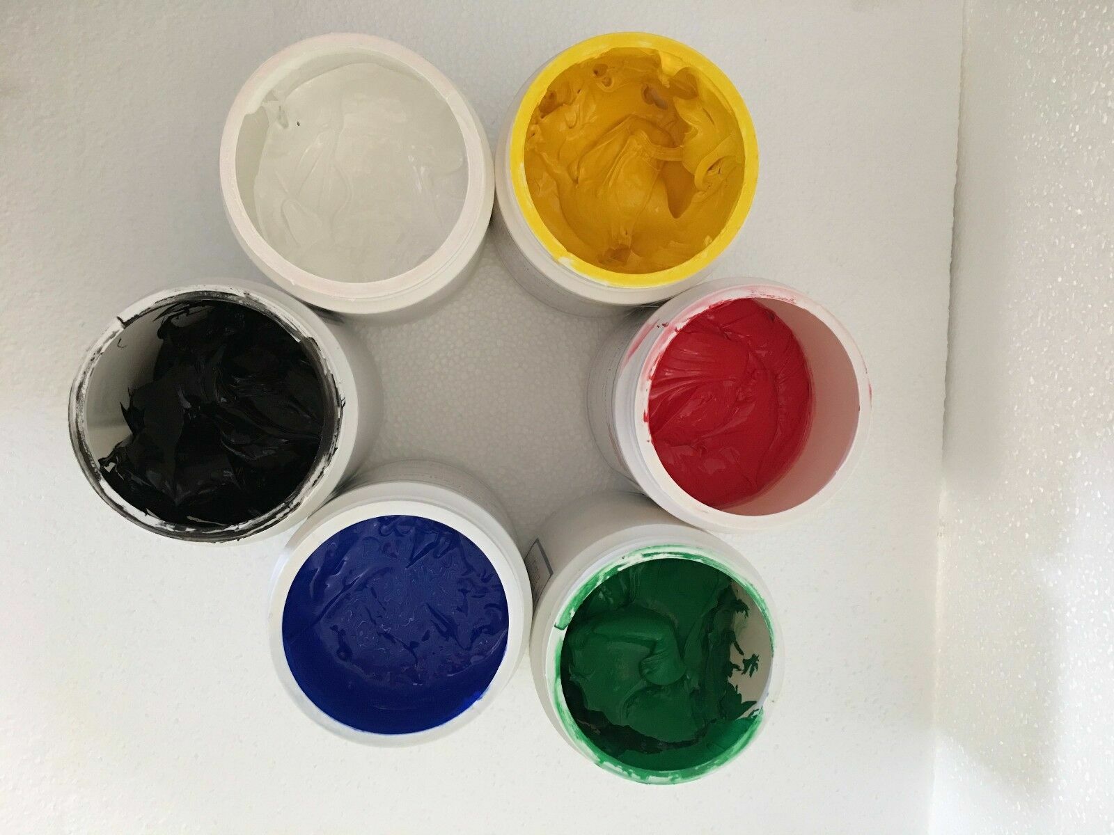 US Silk Screen Supply 6 Colors Screen Printing Plastisol Ink 1.1LB/Bottle DIY