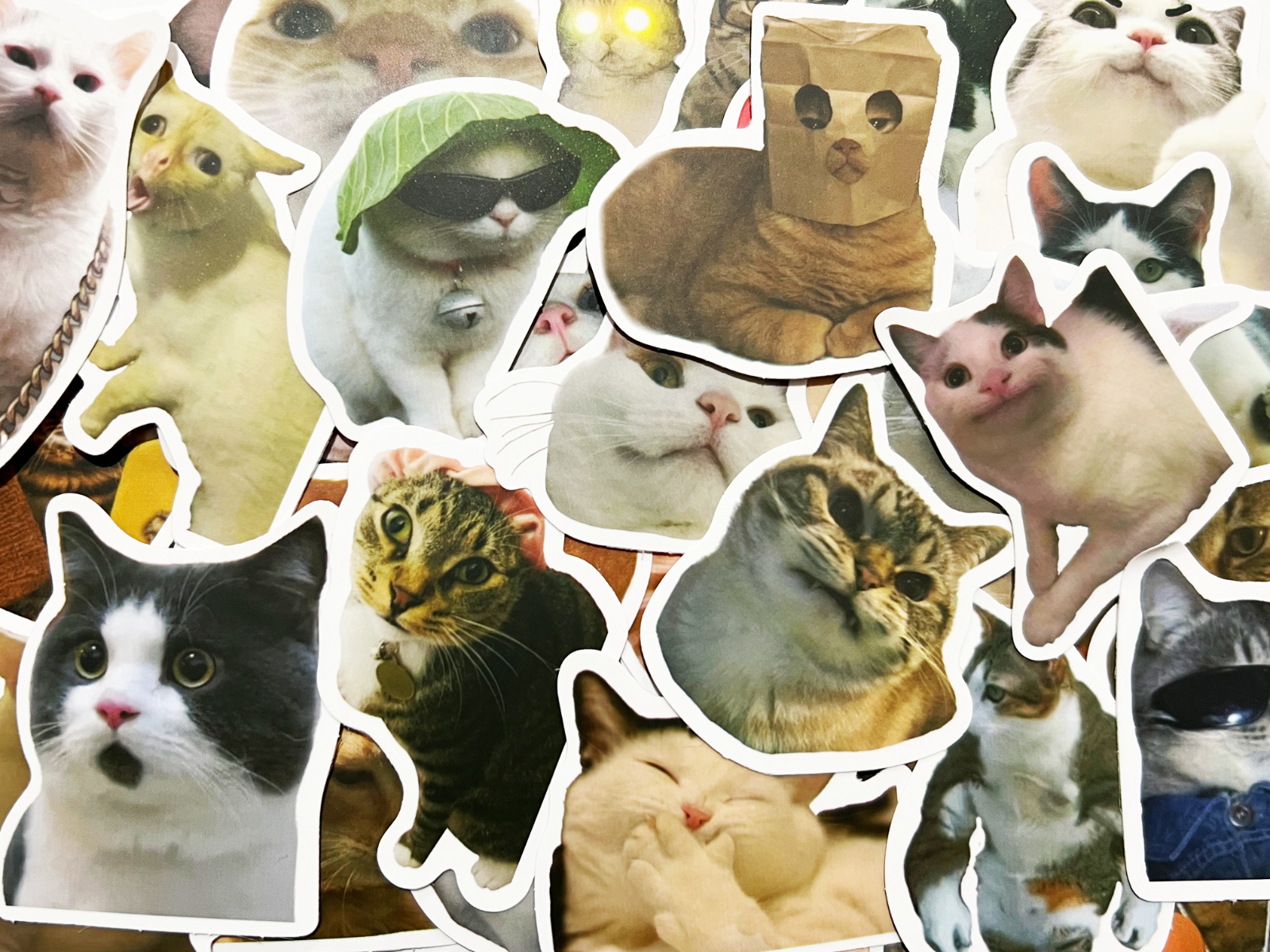 10-50 Cat Meme Stickers Kitty Faces Cute Cats Decals Laptop Phone Water Bottle
