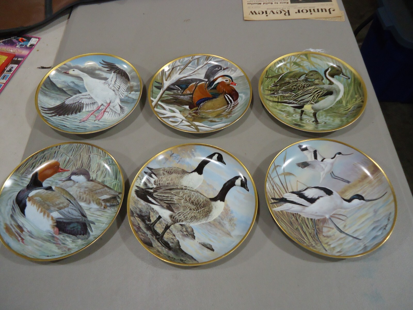 Franklin Porcelain 田園の鳥たち　プレート8枚 絵皿 VTG. Franklin Porcelain DUCKS Water Birds of the World, LOT