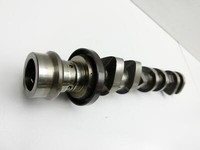 Ford EcoSport 12-22 1,0 92KW C10FD0X Nockenwelle Auslass Ford EcoSport 12-22 19.11.2015 CM5G-6A269-AB 1803223 gebraucht Vorschau 2